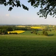 Eggeberg - Blick vom Berg Sanfte Hügel mit leuchtend gelben Rapsfeldern, umgeben von grünen Wiesen und bewaldeten Flächen.