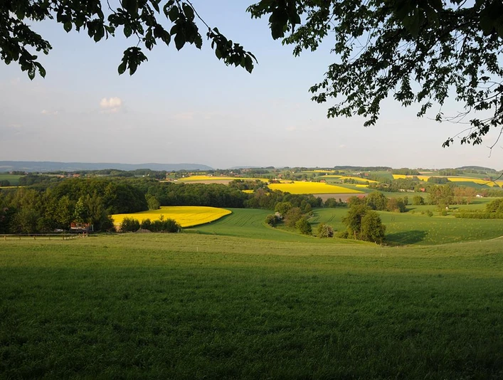 Eggeberg - Blick vom Berg Sanfte Hügel mit leuchtend gelben Rapsfeldern, umgeben von grünen Wiesen und bewaldeten Flächen.