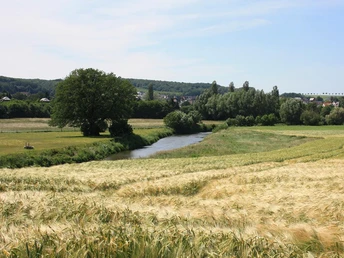 Fluss Werre schlängelt sich durch saftige grüne Felder und Wiesen unter blauem Himmel.