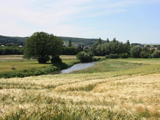 Werre Fluss Werre schlängelt sich durch saftige grüne Felder und Wiesen unter blauem Himmel.