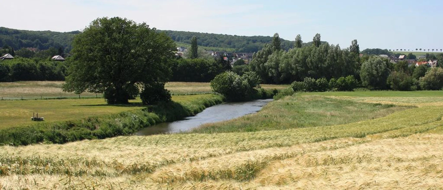 Werre Fluss Werre schlängelt sich durch saftige grüne Felder und Wiesen unter blauem Himmel.