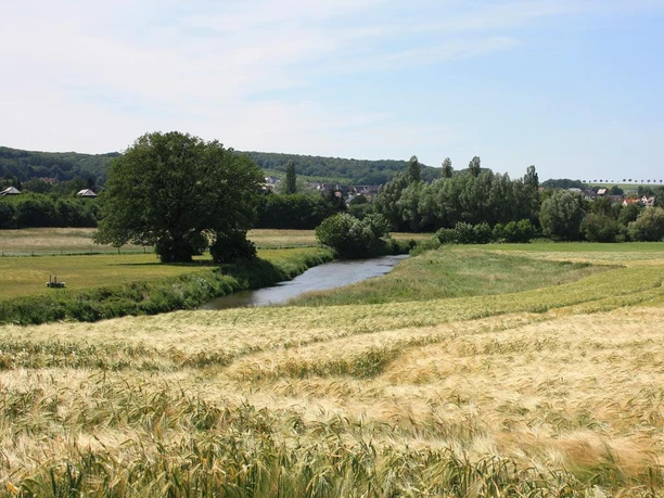 Werre Fluss Werre schlängelt sich durch saftige grüne Felder und Wiesen unter blauem Himmel.