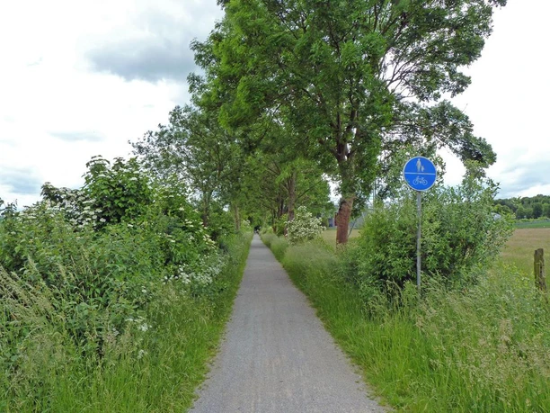 Ehemalige Kleinbahntrasse im Naturschutzgebiet Füllenbruch als gerader, von Bäumen gesäumter Radweg.