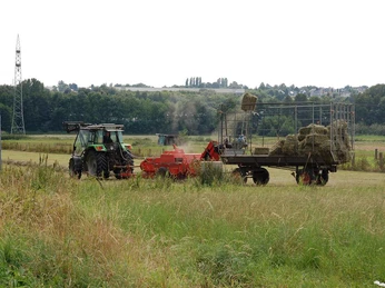 NSG Füllenbruch Ein Traktor zieht eine Heupresse über ein Feld, während ein großer Anhänger mit gepresstem Heu beladen wird.