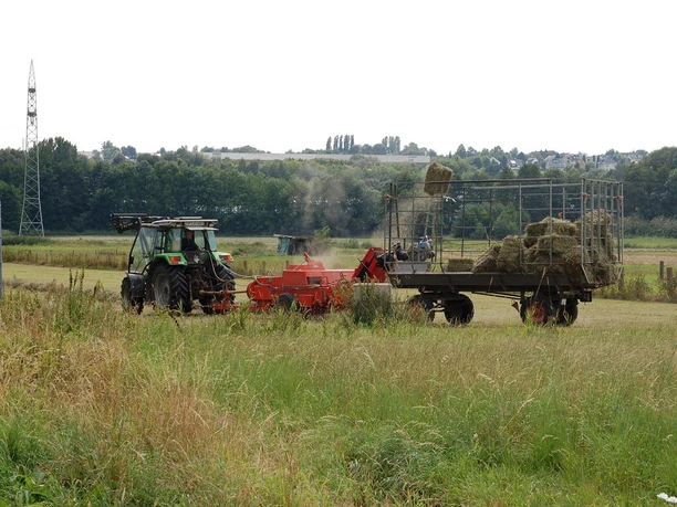NSG Füllenbruch Ein Traktor zieht eine Heupresse über ein Feld, während ein großer Anhänger mit gepresstem Heu beladen wird.