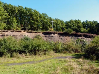 Holzweg durch eine grasbewachsene Lichtung, umgeben von grünem Wald und einem Holzkreuz.