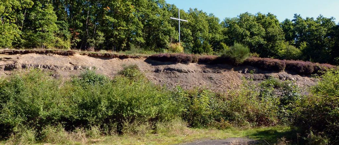 Holzweg durch eine grasbewachsene Lichtung, umgeben von grünem Wald und einem Holzkreuz.