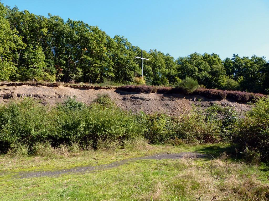 Spatzenberg Holzweg durch eine grasbewachsene Lichtung, umgeben von grünem Wald und einem Holzkreuz.