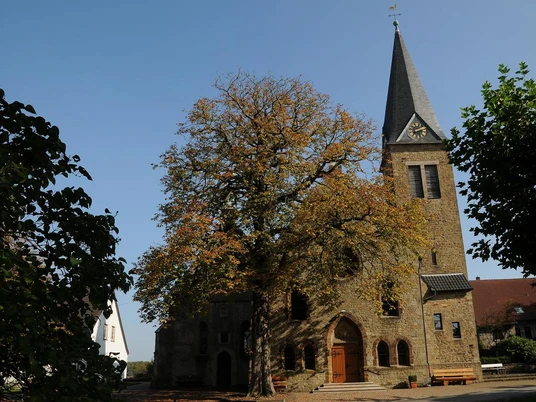 Eine mittelalterliche Kirche mit hohem Turm und großer, bunter Baumkrone im Vordergrund.