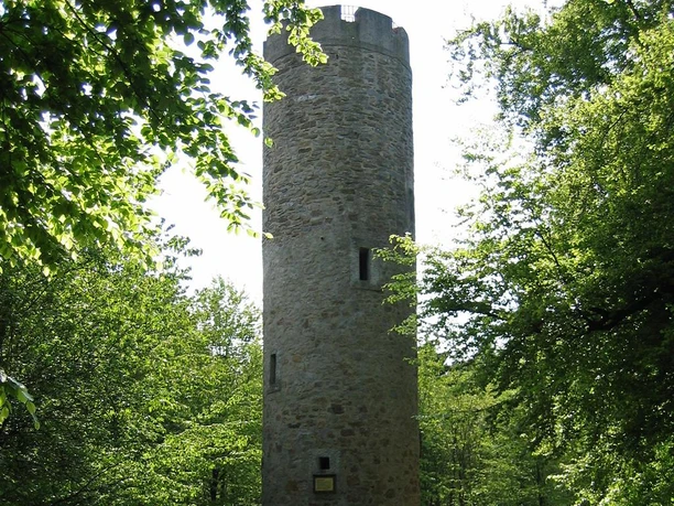 Ein steinerner Aussichtsturm erhebt sich inmitten eines dichten, grünen Waldes unter sonnigem Himmel.