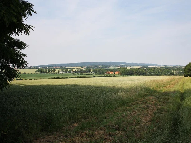 Weite Felder und sanfte Hügel prägen die Landschaft von Voßholz unter einem klaren Himmel.