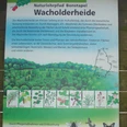 Naturerlebnispfad Bonstapel Informationstafel des Naturlehrpfads Bonstapel in der Wacholderheide mit Vogel- und Pflanzenarten.