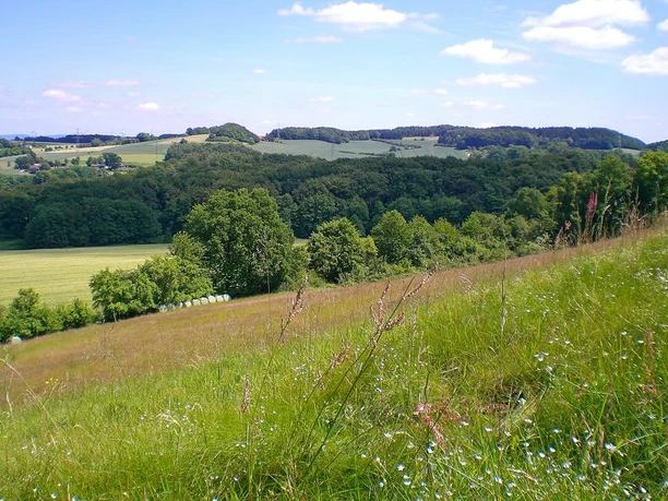 Grüne Wiesen und Wälder im Naturschutzgebiet Eiberg bei sonnigem Wetter mit wenigen Wolken.