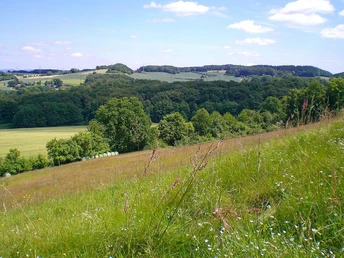 NSG Eiberg Grüne Wiesen und Wälder im Naturschutzgebiet Eiberg bei sonnigem Wetter mit wenigen Wolken.