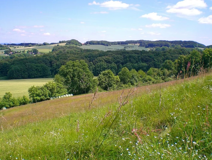 NSG Eiberg Grüne Wiesen und Wälder im Naturschutzgebiet Eiberg bei sonnigem Wetter mit wenigen Wolken.