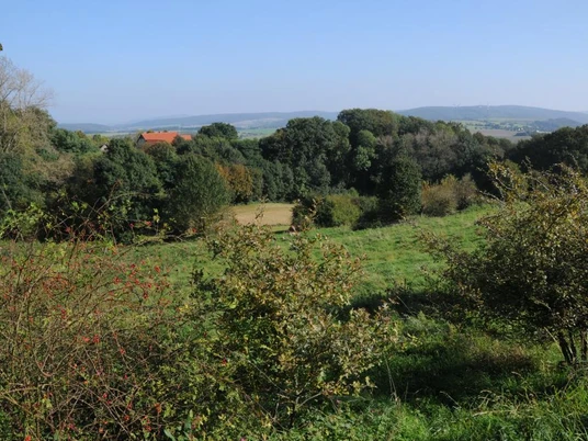 Weitläufige Landschaft mit Feldern, Bäumen und einem roten Dach im Hintergrund an einem klaren Tag.