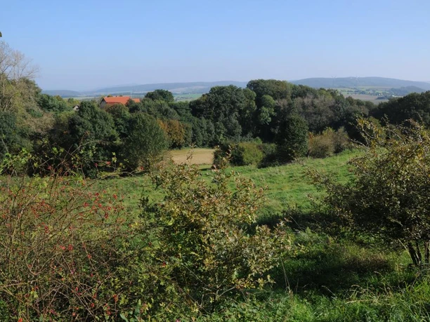 Wiebesiek Weitläufige Landschaft mit Feldern, Bäumen und einem roten Dach im Hintergrund an einem klaren Tag.