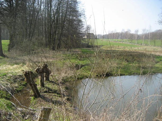 Wald und Feld umgeben einen ruhigen Teich im Naturschutzgebiet Rehmerloh-Mennighüffer Mühlenbach.