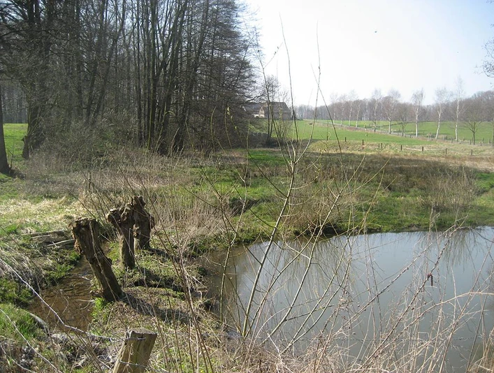 NSG Rehmerloh-Mennighüffer- Mühlenbach Wald und Feld umgeben einen ruhigen Teich im Naturschutzgebiet Rehmerloh-Mennighüffer Mühlenbach.