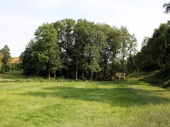 Grüne Wiese mit dichten Laubbäumen im Naturschutzgebiet Ziegeleigrube Ennigloh unter blauem Himmel.