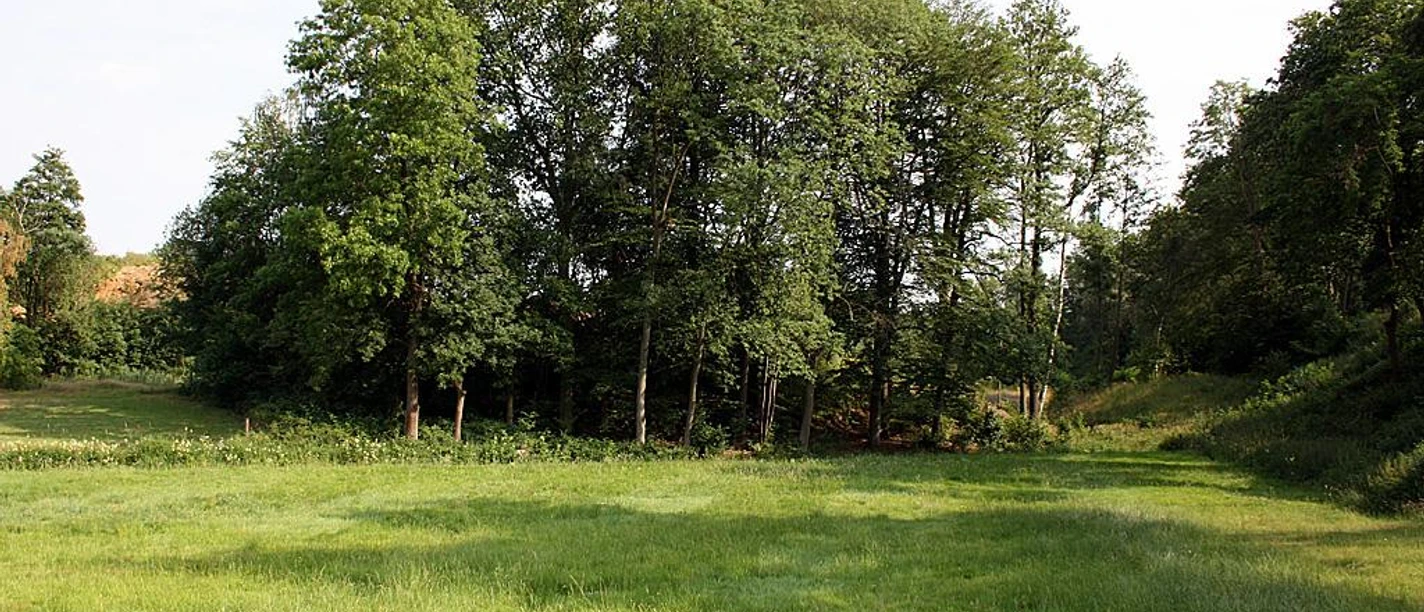 Grüne Wiese mit dichten Laubbäumen im Naturschutzgebiet Ziegeleigrube Ennigloh unter blauem Himmel.