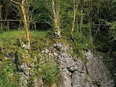 Grüner Hügel mit Felsen und spärlichem Baumbewuchs in einer natürlichen Umgebung.