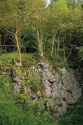 Vulkan Sandebeck Grüner Hügel mit Felsen und spärlichem Baumbewuchs in einer natürlichen Umgebung.