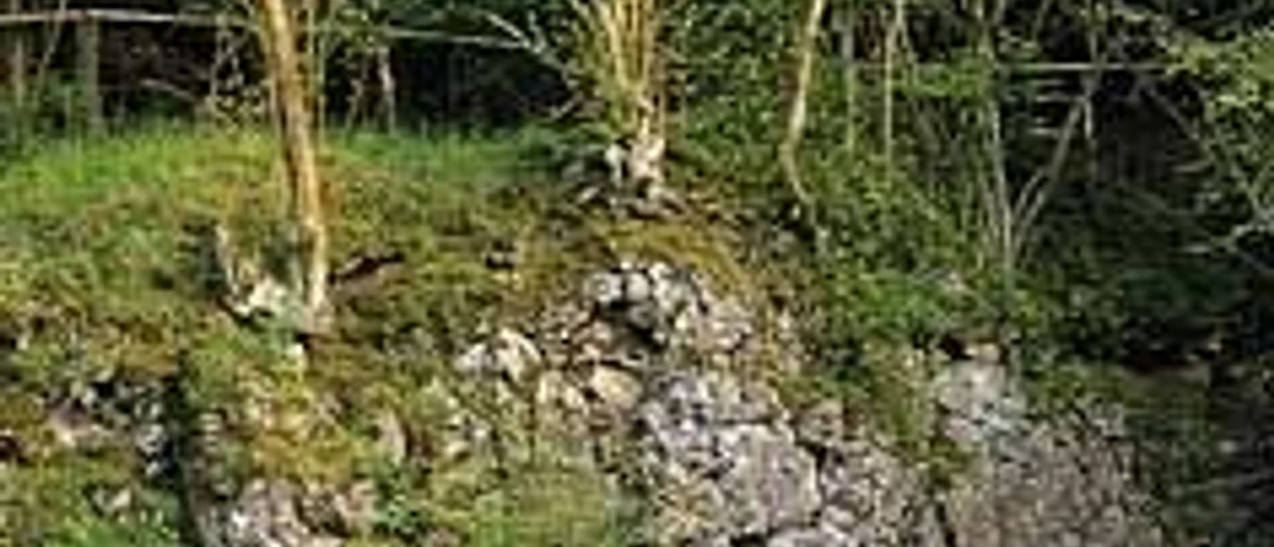 Vulkan Sandebeck Grüner Hügel mit Felsen und spärlichem Baumbewuchs in einer natürlichen Umgebung.