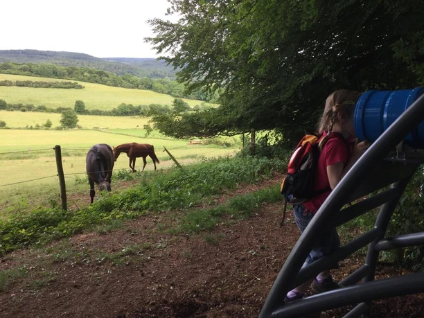 Eine Person betrachtet durch ein Fernrohr zwei grasende Pferde an einem grünen Berghang.