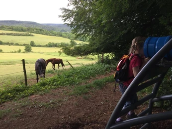 Das Zeitlupenkaleidoskop steht am Hang des Rosenbergs unterhalb des Arboretums Eine Person betrachtet durch ein Fernrohr zwei grasende Pferde an einem grünen Berghang.