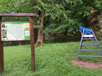 Das Kaleidoskop steht neben einer Infotafel mitten im Arboretum am Steinbruch.