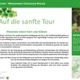 VitalWanderWelt Wanderweg Südholzer Wiesen - Auf die sanfte Tour Wanderweg Südholzer Wiesen: sanfte Tour durch grüne Landschaft, perfekt für Erholung und Naturgenuss.