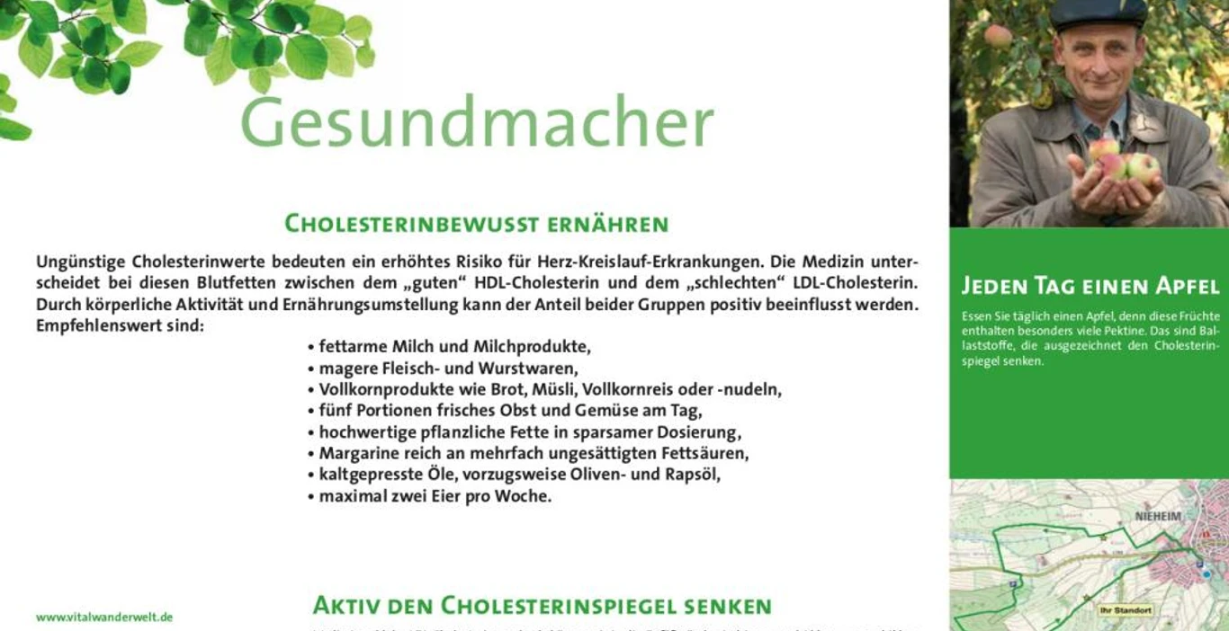 VitalWanderWelt Wanderweg Südholzer Wiesen - Gesundmacher Inforganisationstafel des Wanderwegs Südholzer Wiesen mit Informationen zur cholesterinbewussten Ernährung.