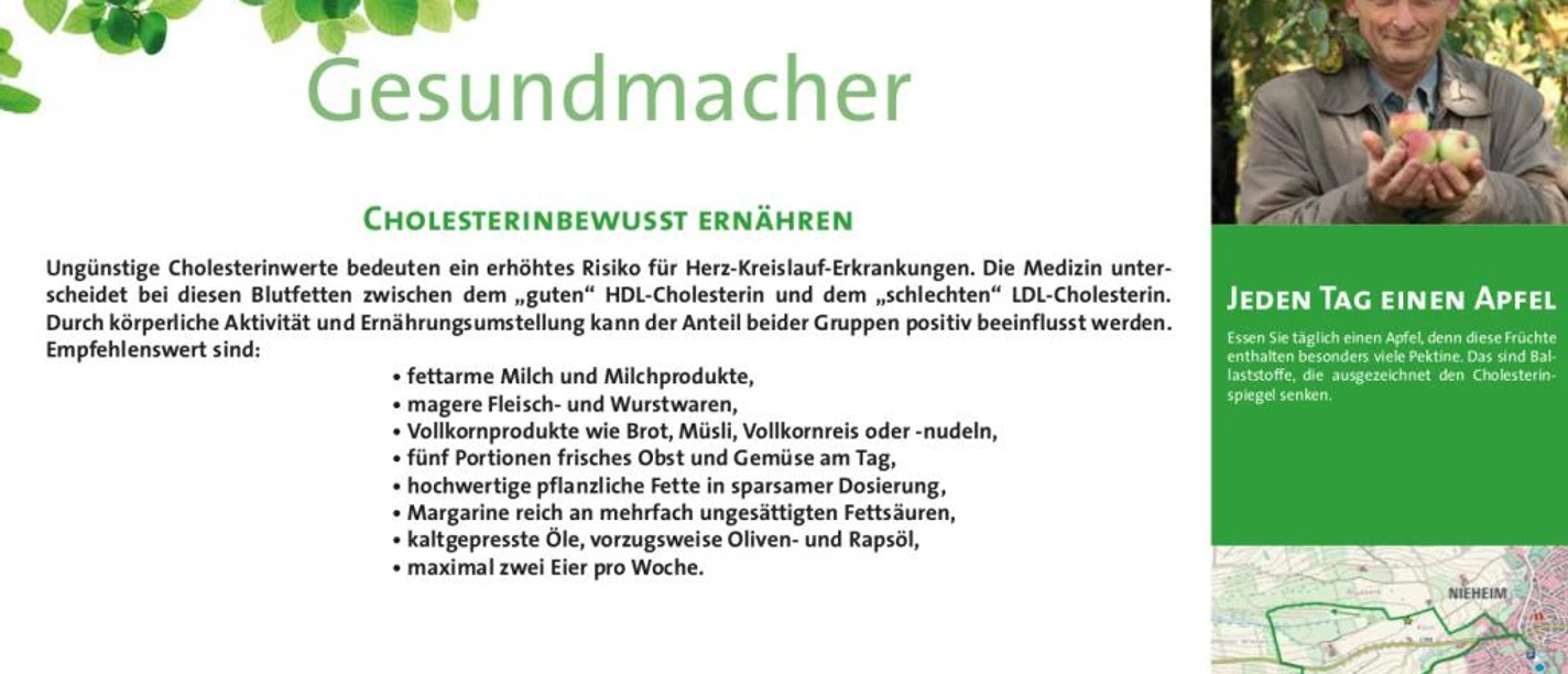 VitalWanderWelt Wanderweg Südholzer Wiesen - Gesundmacher Inforganisationstafel des Wanderwegs Südholzer Wiesen mit Informationen zur cholesterinbewussten Ernährung.