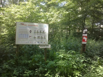 Infotafel zur Herzfrequenz und Kräftigung