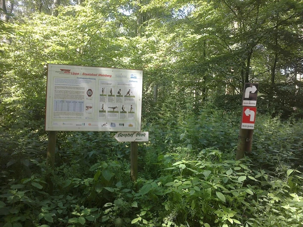 Infotafel zur Herzfrequenz und Kräftigung