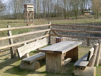 Picknickplatz mit Holztisch und Bänken, umgeben von Holzgeländer, nahe einem Aussichtsturm im Freien.