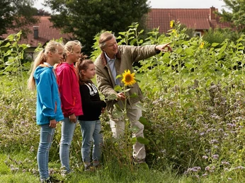 NaTourErlebnisführung Erneuerbare Energien Eine Gruppe neugieriger Kinder entdeckt mit einem Erwachsenen eine Wiese voller hochgewachsener Sonnenblumen.