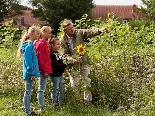 NaTourErlebnisführung Erneuerbare Energien Eine Gruppe neugieriger Kinder entdeckt mit einem Erwachsenen eine Wiese voller hochgewachsener Sonnenblumen.