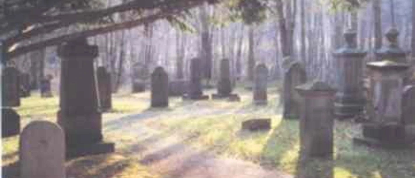 Gräber und Denkmäler unter Bäumen in ruhiger Waldlichtung im Jüdischen Friedhof Preußisch Oldendorf.