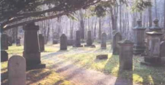 Jüdischer Friedhof in Preußisch Oldendorf Gräber und Denkmäler unter Bäumen in ruhiger Waldlichtung im Jüdischen Friedhof Preußisch Oldendorf.