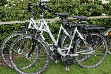 E-Bikes Zwei silberne E-Bikes stehen auf einer grünen Wiese, umgeben von blühenden Sträuchern.