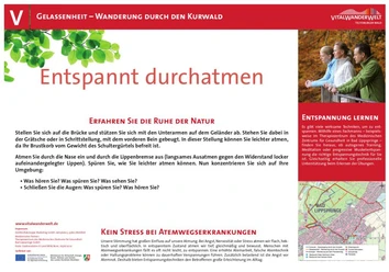 VitalWanderWelt Wanderung durch den Kurwald - Entspannt durchatmen Wanderung im Kurwald mit Fokus auf Naturerholung und Atemübungen in ruhiger Umgebung.