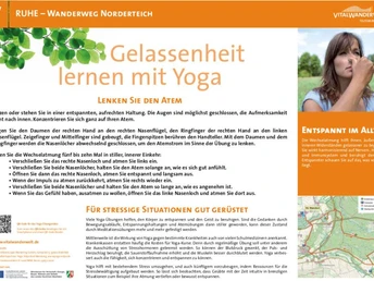 VitalWanderWelt Wanderweg Norderteich - Gelassenheit lernen mit Yoga Gelassenheit lernen beim Yoga am Wanderweg Norderteich, Ruhe inmitten natürlicher Landschaft.