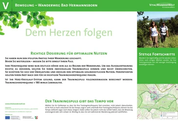 VitalWanderWelt Wanderweg Bad Hermannsborn - Dem Herzen folgen Wanderweg Bad Hermannsborn: Herzgesunder Pfad mit Infos zu Training und Lebensstil.
