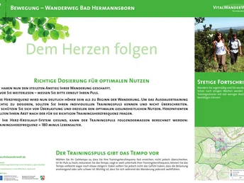 VitalWanderWelt Wanderweg Bad Hermannsborn - Dem Herzen folgen Wanderweg Bad Hermannsborn: Herzgesunder Pfad mit Infos zu Training und Lebensstil.