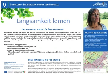 VitalWanderWelt - Spaziergang durch den Kurwald - Langsamkeit lernen Spaziergang im Kurwald, Fokus auf Achtsamkeit und richtige Atmung für körperliche Entspannung.