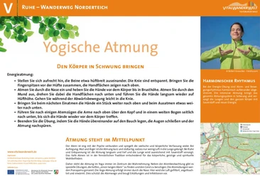 VitalWanderWelt Wanderweg Norderteich - Yogische Atmung Anleitung zur yogischen Atmung auf dem Wanderweg Norderteich mit Fokus auf Atmung und Bewegung.