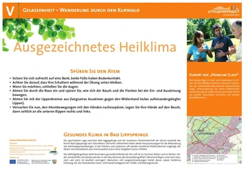 VitalWanderWelt Wanderung durch den Kurwald - Ausgezeichnetes Heilklima Wanderung durch den Kurwald in Bad Lippspringe, bekannt für sein ausgezeichnetes Heilklima.