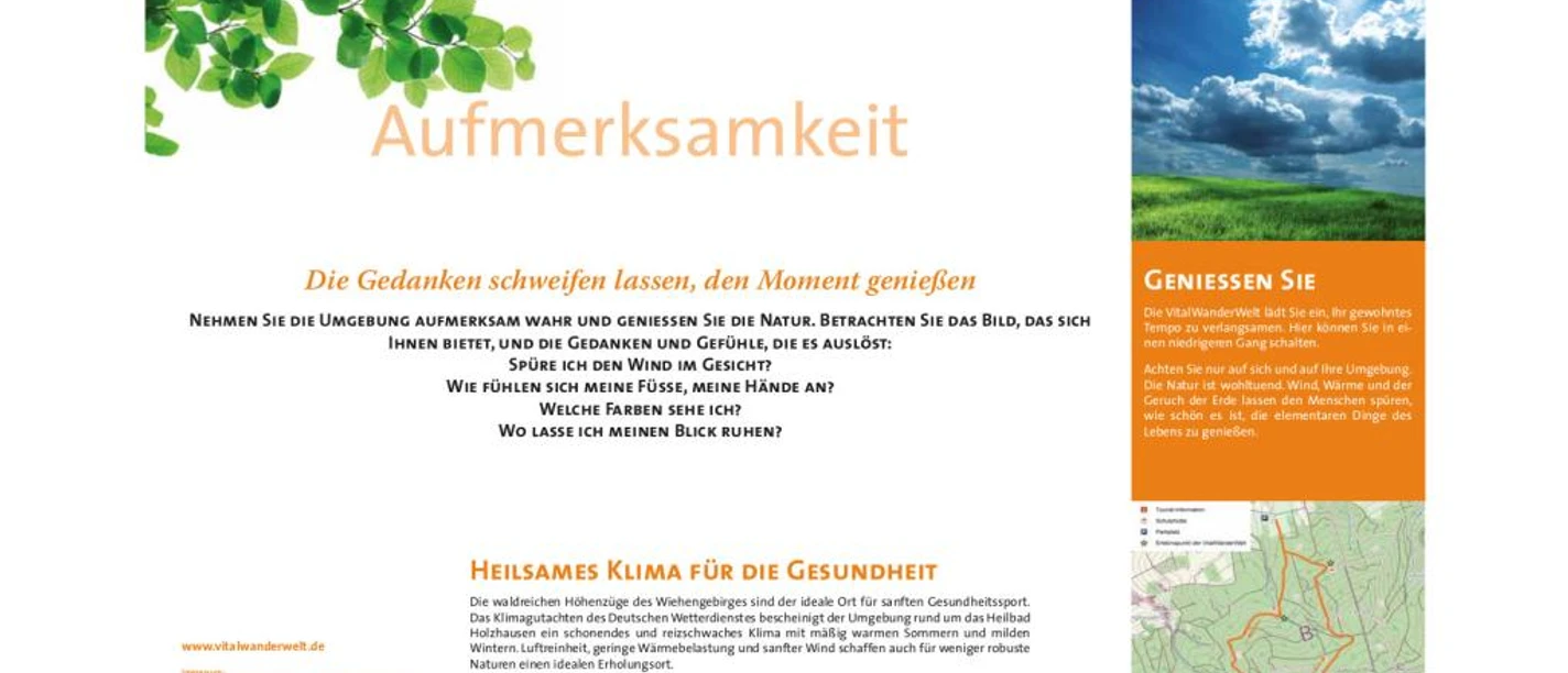 VitalWanderWelt - Wanderung Holzhauser Berg - Aufmerksamkeit 2 Hinweistafel des VitalWanderWeges Holzhauser Berg mit Themen zu Achtsamkeit in der Natur.
